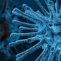 Comment se protéger du Coronavirus dans les instituts ?